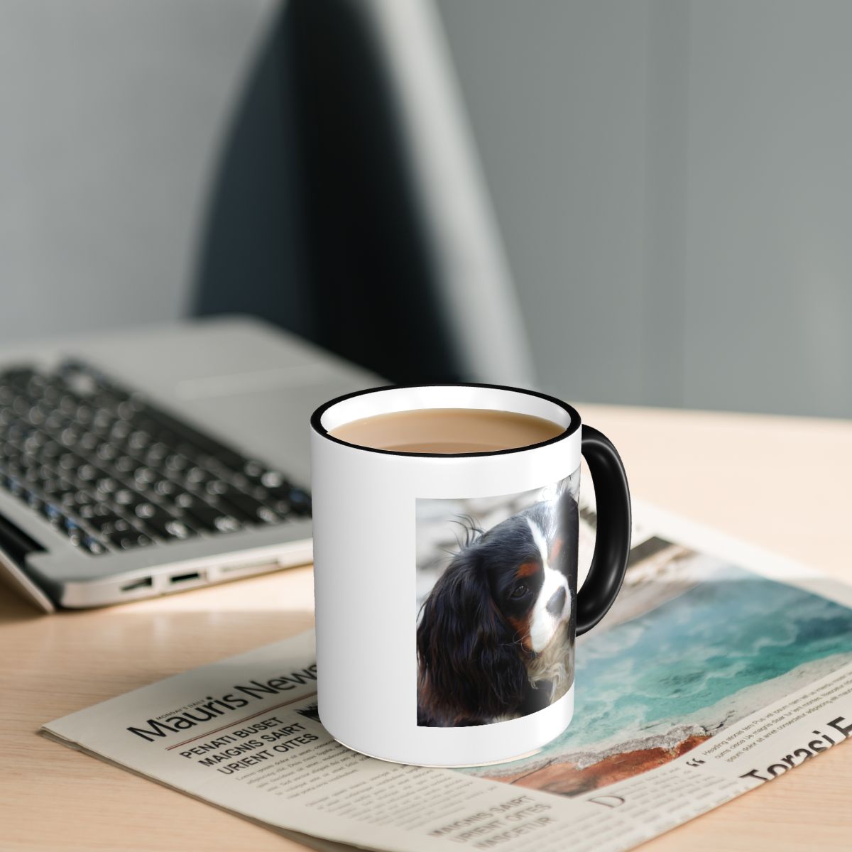 Üç Renkli Cavalier King Charle - Coffee Tea Photos incelemesi ve fiyatı
